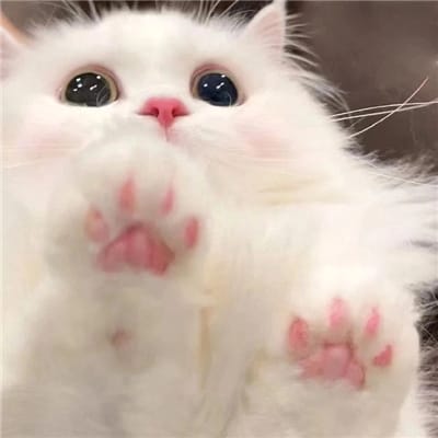 เจฟ ซาเตอร์ avatar