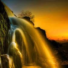 นิชา ณัฏฐณิชา avatar