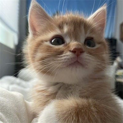 อดุลย์ สมพงษ์ avatar